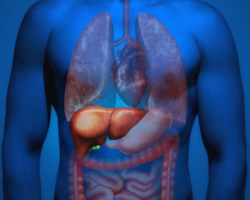 Liver Cancer Screening Rates Doubled With Mailed Orders