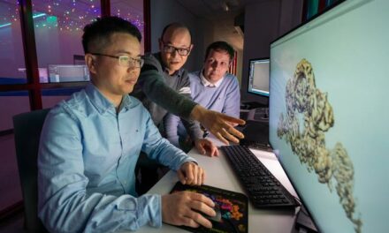 How the Structure of Parkinson’s-Linked Proteins Reveal Synergy