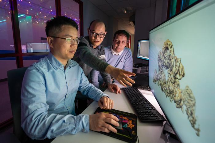 How the Structure of Parkinson’s-Linked Proteins Reveal Synergy