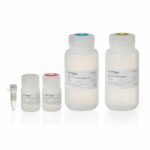 Thermo Fisher Launches Next-Gen Cells-to-CT Express Kit