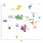 RNA Sequencing Analysis May Offer More Accurate Diagnosis for Common Pediatric Cancer