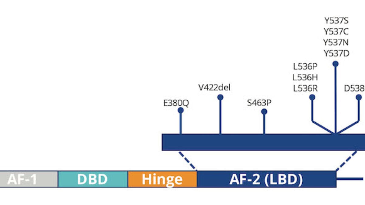 Why ESR1 Mutation Monitoring Can Keep One Step Ahead of
