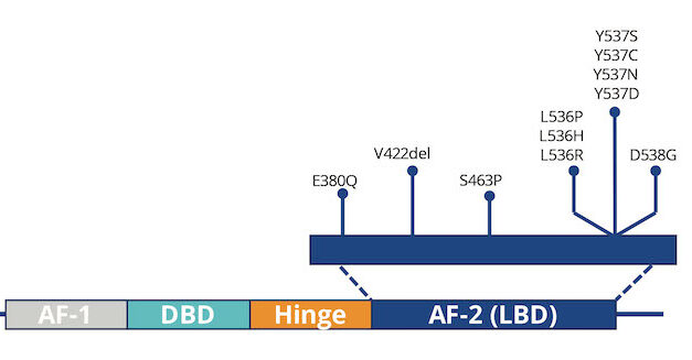 Why ESR1 Mutation Monitoring Can Keep One Step Ahead of Breast Cancer