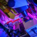 New Analysis Method Melts DNA to Detect Pathogens Faster