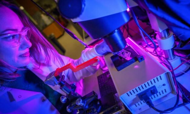 New Analysis Method Melts DNA to Detect Pathogens Faster