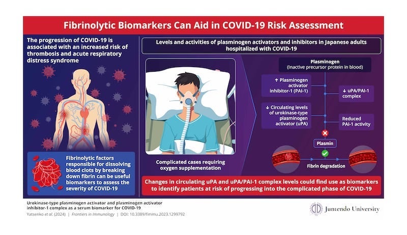 Fibrinolytic Biomarkers Can Identify Patients at Risk of Severe COVID