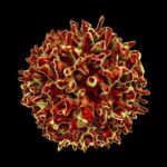 Post-Viral Syndromes and the Utility of T-cell Diagnostics