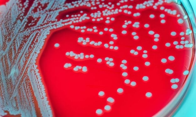Pushing Back Antimicrobial Resistance in Staphylococcus aureus