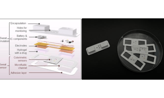 New Device Monitors Diseases Through Sweat