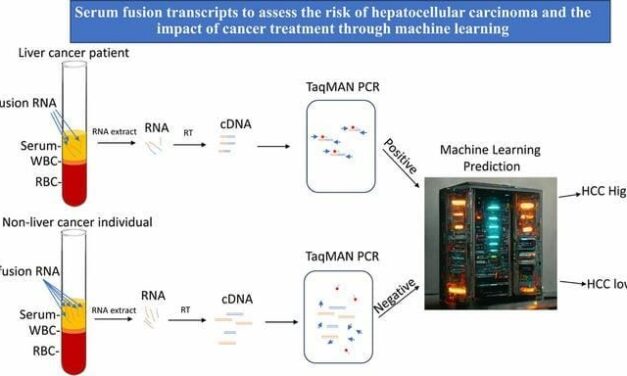 Screening Tool Could up Hepatocellular Carcinoma Survival to 90%