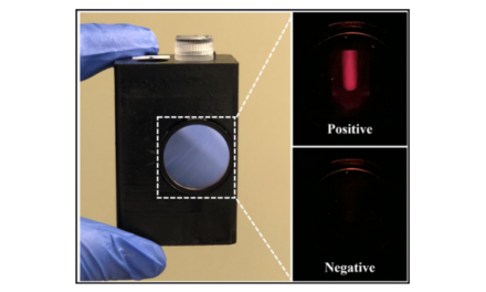 Handheld Diagnostic Tool Matches PCR Accuracy for Disease Detection