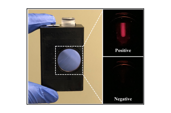 Handheld Diagnostic Tool Matches PCR Accuracy for Disease Detection