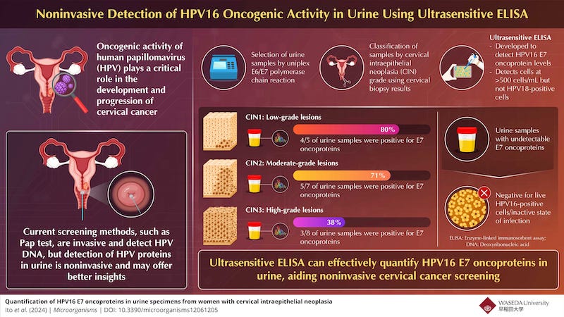 Noninvasive Urine Test Could be Key in Cervical Cancer Detection
