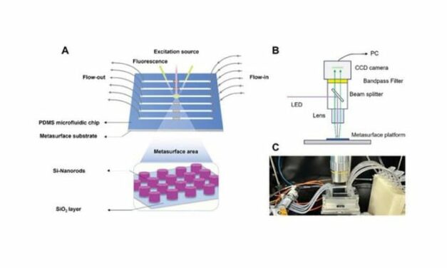 High-Tech Kidney Disease Urine Test in Development
