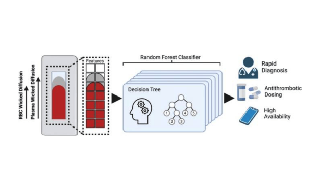 How Repurposed COVID Tests Offer Accurate Coagulation Status Evaluation