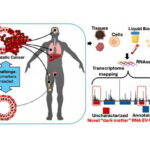 Researchers Discover Novel Nanoparticles in Blood that Could Transform Cancer Diagnosis
