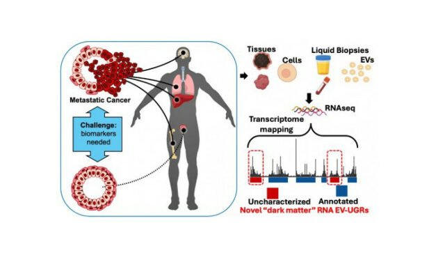 Researchers Discover Novel Nanoparticles in Blood that Could Transform Cancer Diagnosis