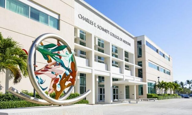 Researchers Explore Emerging Solutions for Early Endometriosis Diagnosis