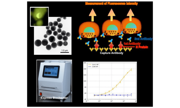New Test System Using Janus Particles Rapidly Detects COVID