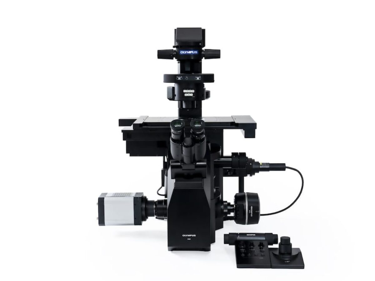 DSC3190-Enhanced-NR-244-