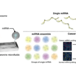 Nanowire-Based Urine Test with AI Detects Early-Stage Lung Cancer with High Accuracy