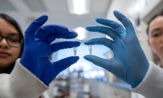 Researchers Develop Rapid, Hands-Free Test to Detect Bacteria in Fluids