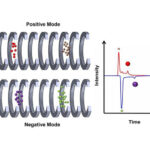 New Technology Enables Rapid Detection of TNT Metabolites in Humans