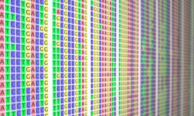 G3 Knowledgebase Brings New Insights to Genomic Data
