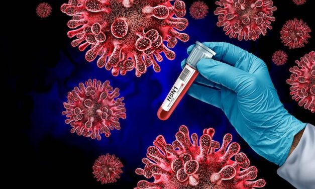 Hologic to Develop Analyte Specific Reagents for H5N1 Bird Flu