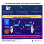 Nanobody-Based Immunosensor Enables Robust POC Testing in Harsh Conditions