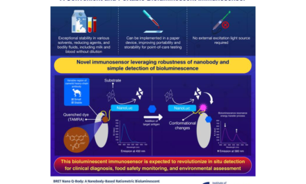 Nanobody-Based Immunosensor Enables Robust POC Testing in Harsh Conditions