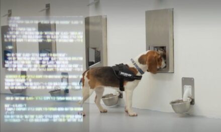 New Cancer Detection Test Uses AI, Canines, and Breath Samples