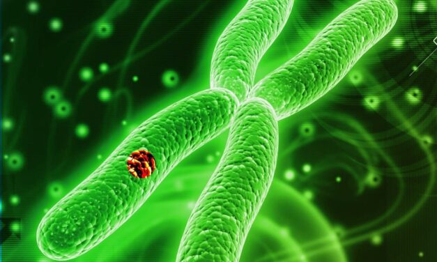 Datar Cancer Genetics Unveils Advanced Blood Test for MRD