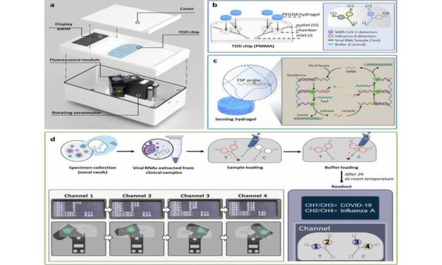 Scientists Develop New Diagnostic System for Rapid Viral Testing
