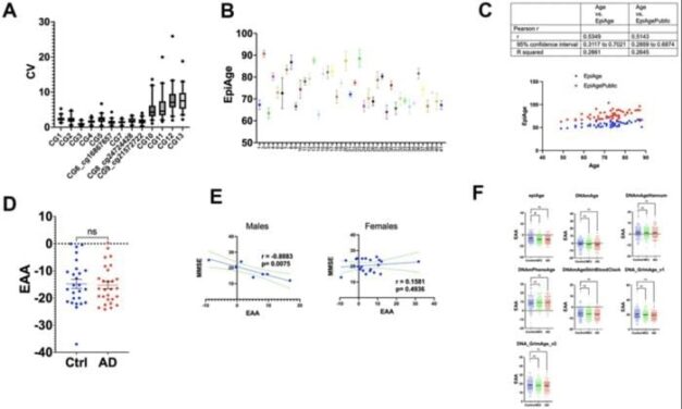Biological Age Can be Measured Using Saliva or Blood