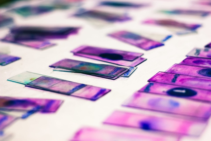 Pramana to Enable University’s Pathology Digitization Efforts