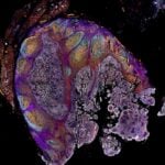 Spatial Imaging System Enables Generation of High-quality Data