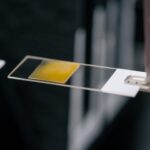 AI-Augmented Screening Tool for Parasitology Improves Diagnosis
