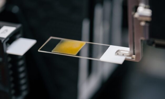 AI-Augmented Screening Tool for Parasitology Improves Diagnosis