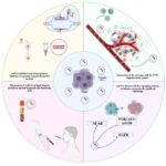 ExRNA Plays a Role in Head and Neck Cancers