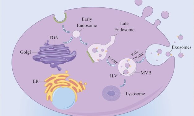 lncRNAs Play a Role in Kidney Disease