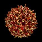 T-Cell Dysfunction in Post-acute Infection Syndromes Data Presented