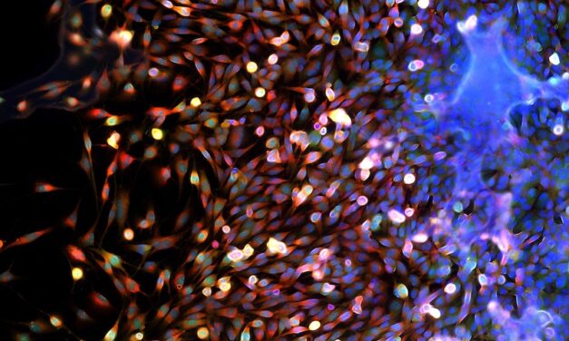 CAP Updates Cancer Protocols to Improve Diagnostic Accuracy