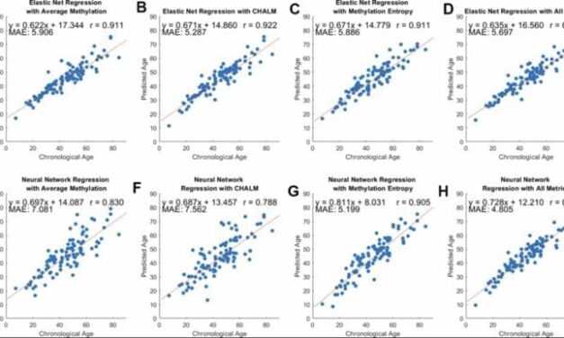 DNA Methylation Entropy Can Be Used to Track Aging