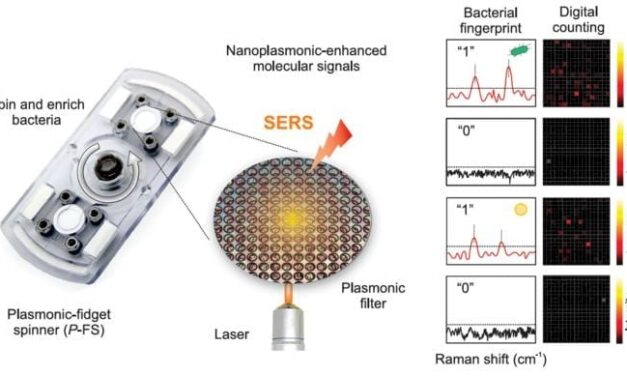 Fidget Spinner Transformed Into Bacterial Detection Device