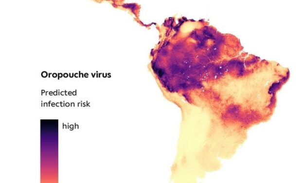 Oropouche Virus Is Both Mysterious and Common