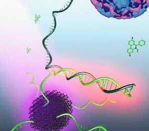 More Sensitive Viral RNA Detection Unveiled