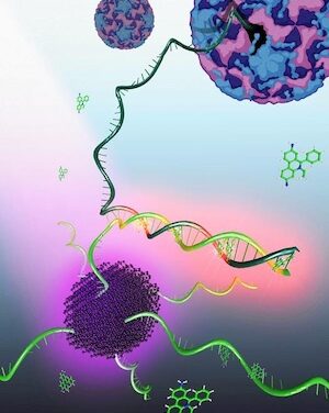 More Sensitive Viral RNA Detection Unveiled