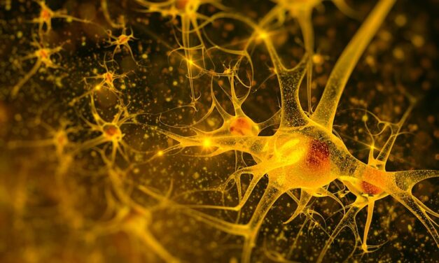pTau217 Antibody Demonstrates High Rate of Reliability and Scalability