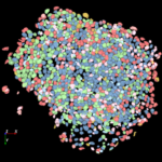 Aivia 15 From Leica Simplifies Image Analysis